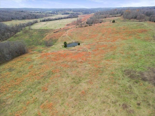 000 County Road 7040, Caulfield, MO 65626 - photo 16