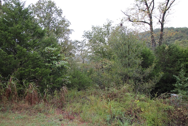 LOT3 Silver Oak Way, Branson West MO, 65737 land for sale