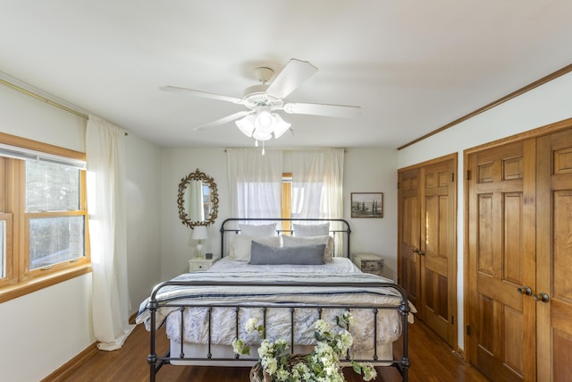 bedroom featuring ceiling fan, two closets, dark hardwood / wood-style flooring, and multiple windows