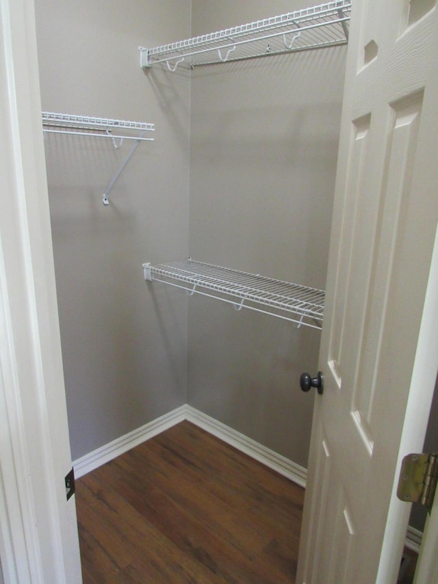 spacious closet with dark hardwood / wood-style flooring