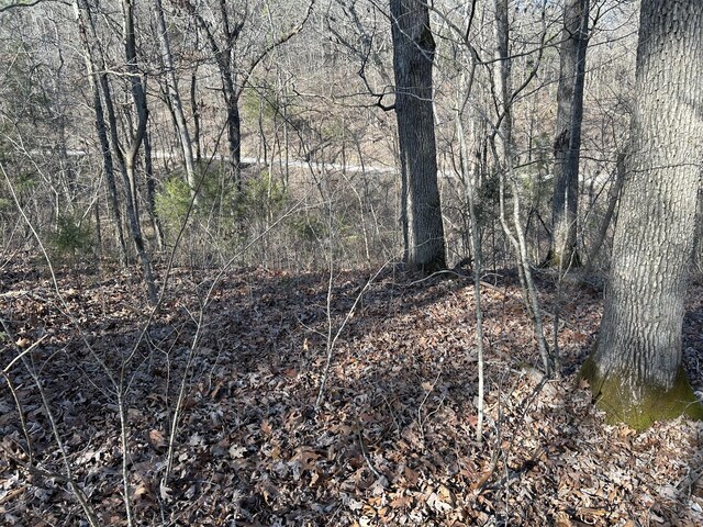 000 Slabtown Rd, Licking, MO 65542