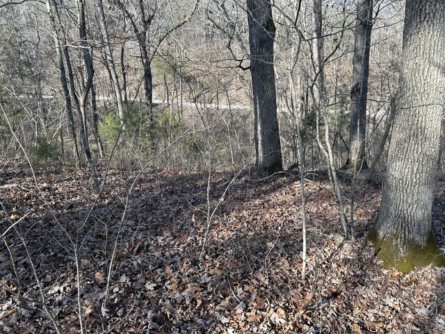 000 Slabtown Rd, Licking MO, 65542 land for sale