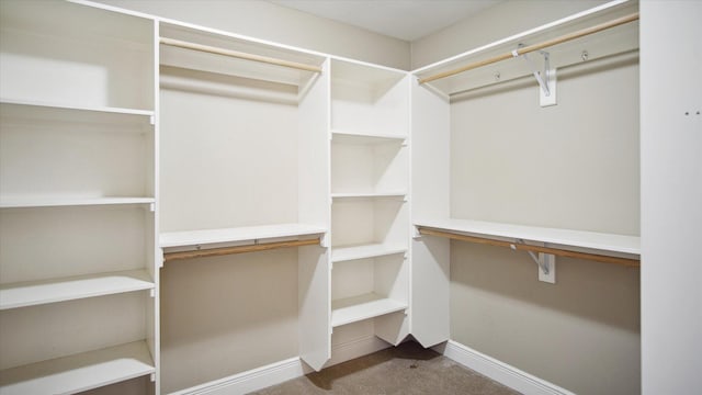 walk in closet featuring carpet flooring