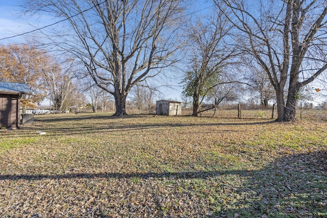 view of yard with a storage unit