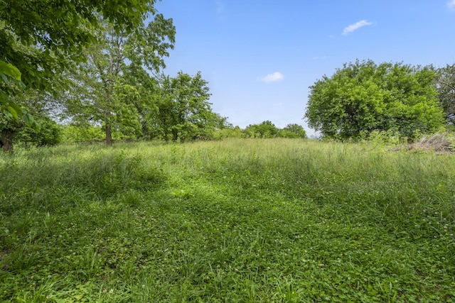 1350 S 20th St, Ozark, MO 65721 - view of local wilderness