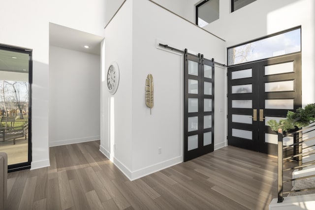 entryway featuring a towering ceiling, a barn door, dark hardwood / wood-style flooring, and plenty of natural light