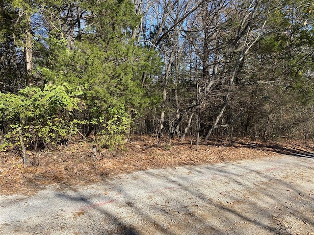 LOT14 Ance Acres Ln, Reeds Spring MO, 65737 land for sale