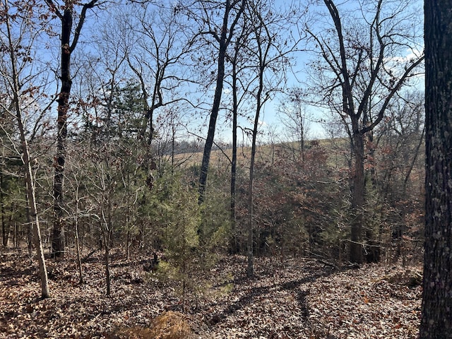 356 Rocky Ridge Ln, Theodosia, MO 65761 - photo 4