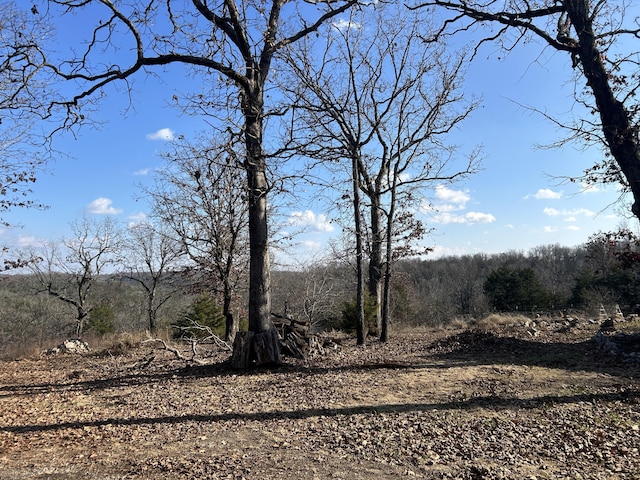 356 Rocky Ridge Ln, Theodosia, MO 65761 - photo 15