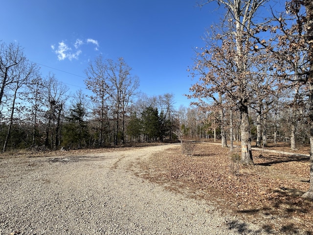 356 Rocky Ridge Ln, Theodosia, MO 65761 - photo 19