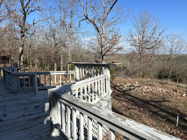 356 Rocky Ridge Ln, Theodosia, MO 65761 - photo 46