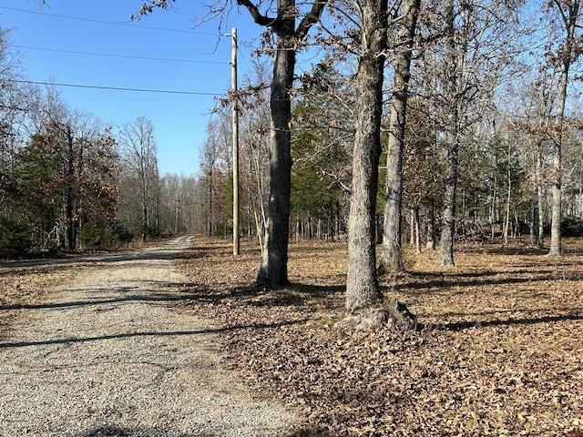 356 Rocky Ridge Ln, Theodosia, MO 65761 - photo 61