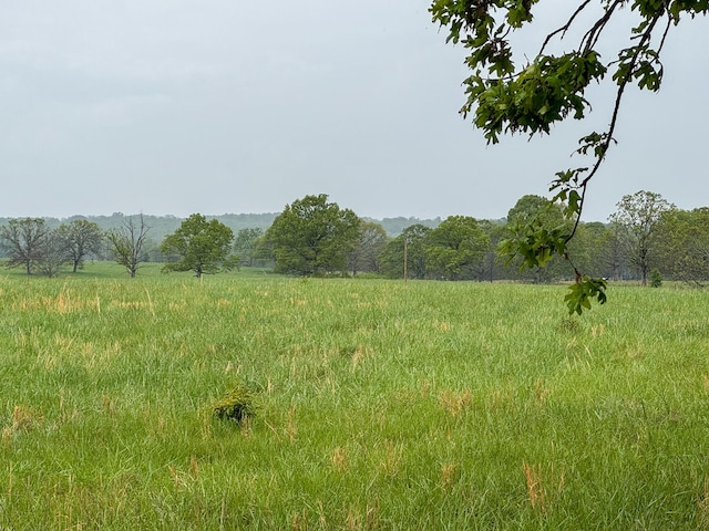view of landscape featuring a rural view