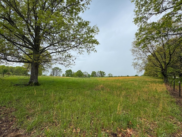 view of local wilderness with a rural view