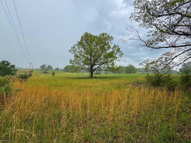 view of local wilderness featuring a rural view