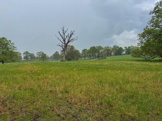 view of yard featuring a rural view