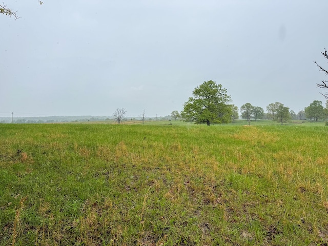 view of local wilderness featuring a rural view