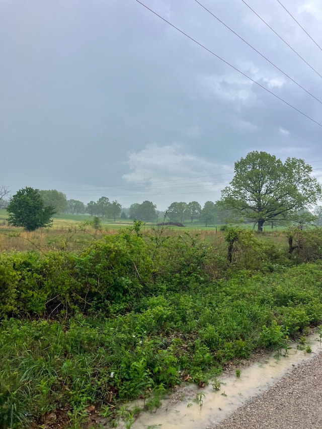 view of local wilderness featuring a rural view