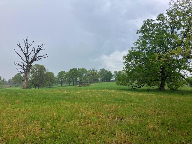 view of yard featuring a rural view