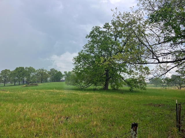 view of yard featuring a rural view