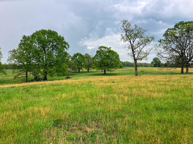 view of nature featuring a rural view
