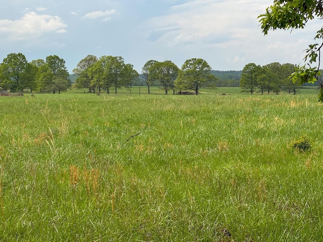 view of nature featuring a rural view