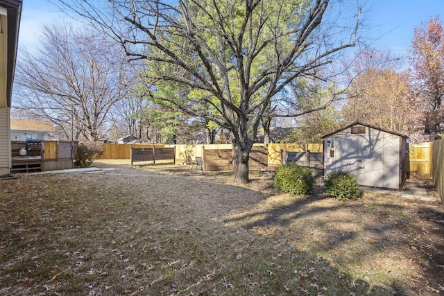 view of yard featuring a storage unit