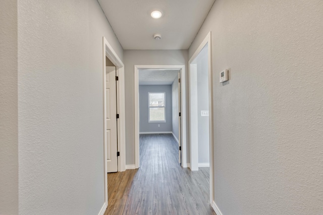 hall featuring light wood-type flooring