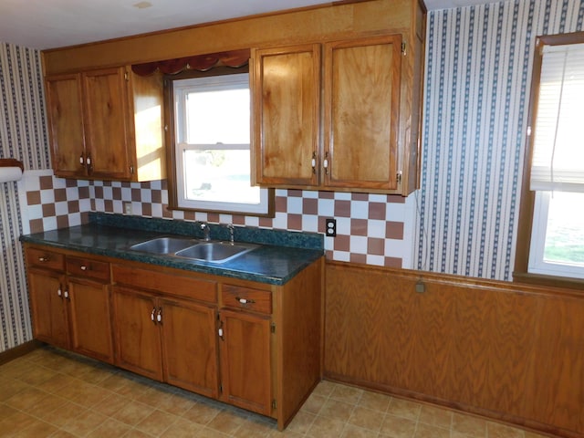 kitchen featuring a wealth of natural light and sink