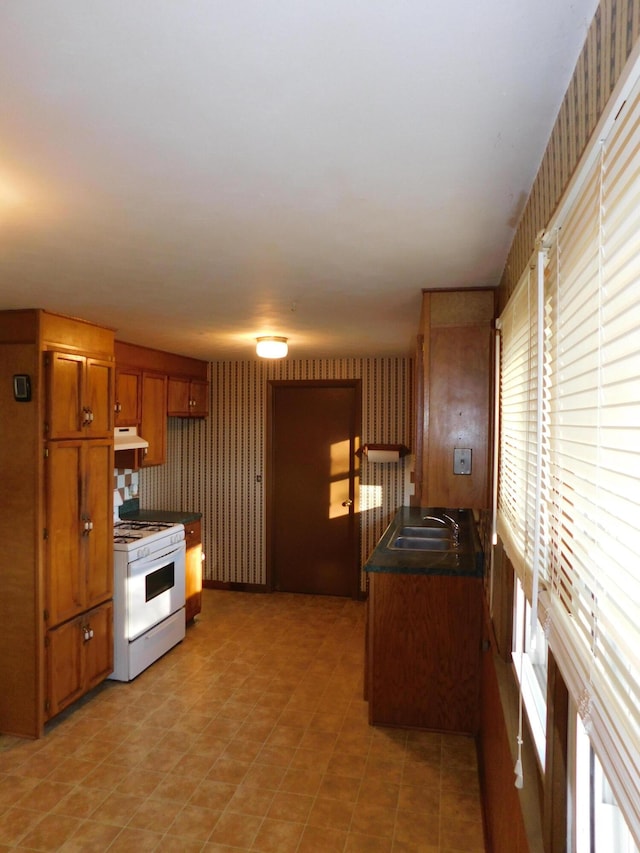 kitchen with a wealth of natural light, gas range gas stove, and sink