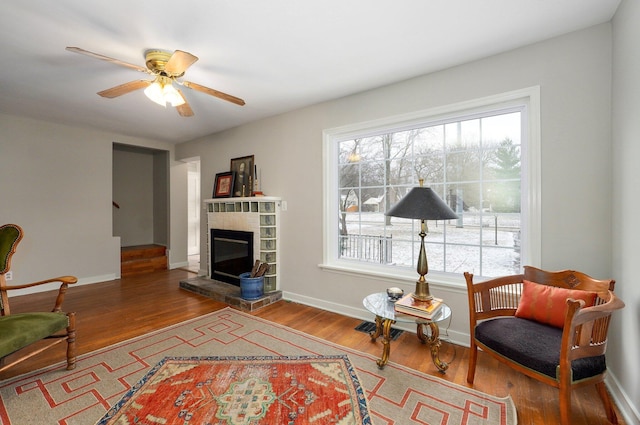 living area featuring ceiling fan and wood-type flooring