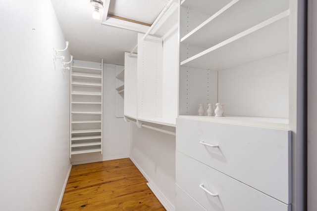 spacious closet featuring hardwood / wood-style flooring