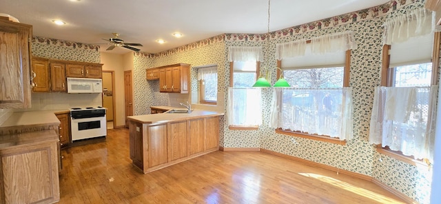 kitchen featuring kitchen peninsula, light wood-type flooring, white appliances, ceiling fan, and sink