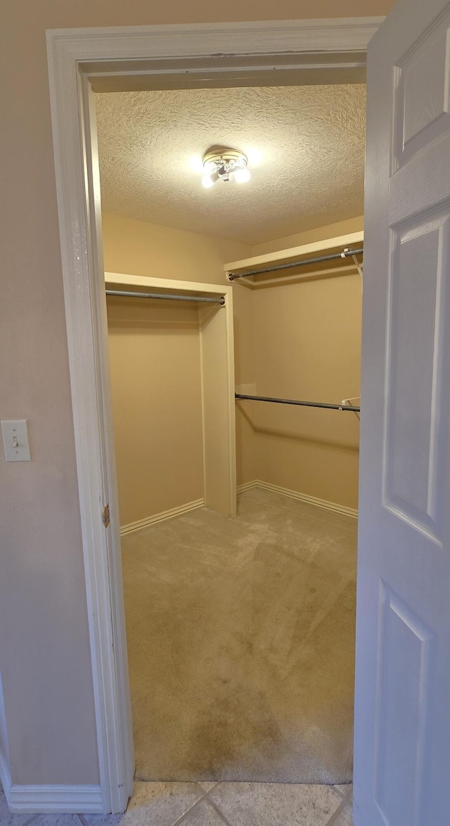 walk in closet featuring light carpet