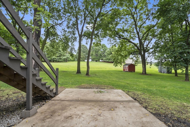 view of yard featuring a patio and a storage shed