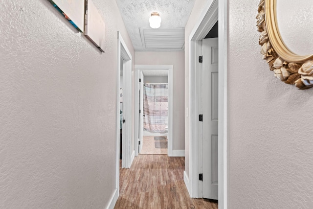 corridor featuring a textured ceiling and light hardwood / wood-style flooring