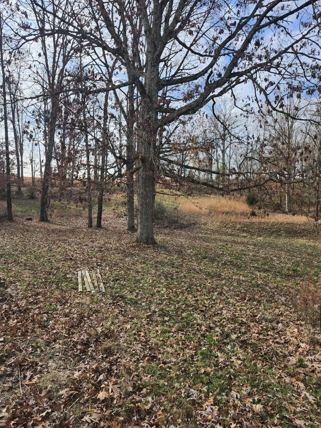 1976 State Route W, Mountain View, MO 65548 - photo 5