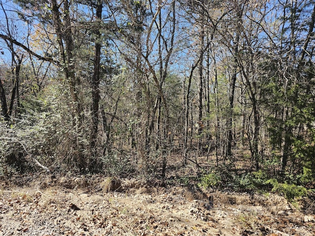 000 Apple Rd, Merriam Woods MO, 65740 land for sale