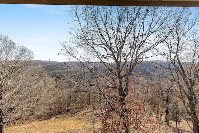 526 Notch Ln Unit 10, Branson West, MO 65737 - view of mountain backdrop featuring a forest
