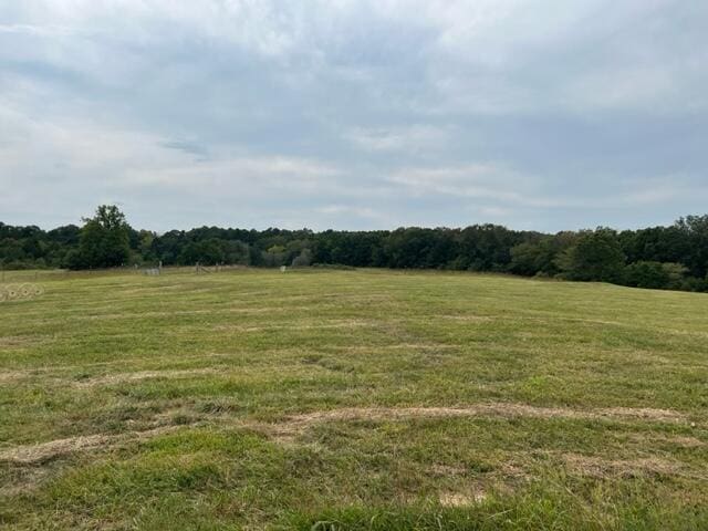 15442 Boiling Springs Rd, Licking MO, 65542 land for sale