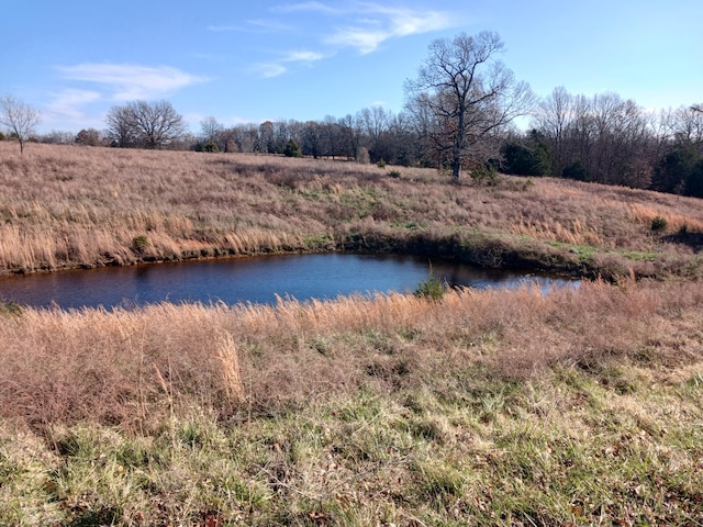 000 County Road 7080, West Plains MO, 65775 land for sale