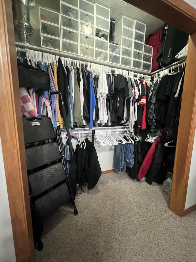 spacious closet featuring carpet flooring