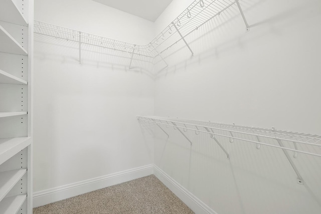 walk in closet featuring carpet floors