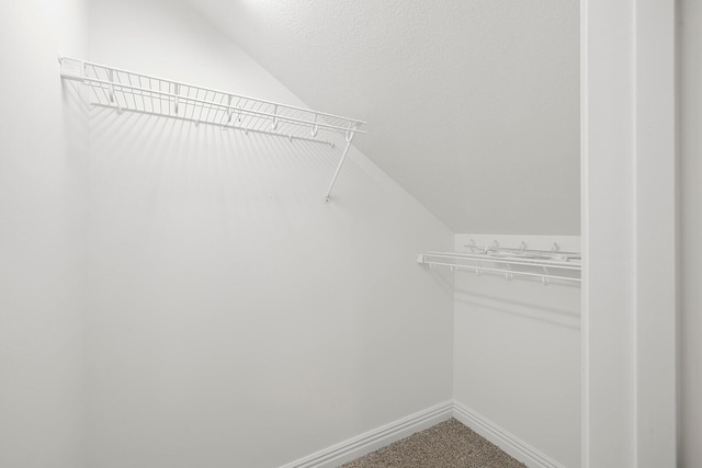 spacious closet with carpet floors and vaulted ceiling