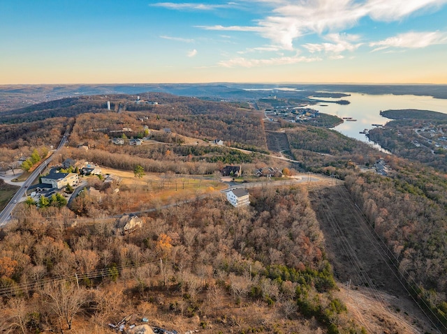 136 Grand Pointe, Branson, MO 65616 - photo 80