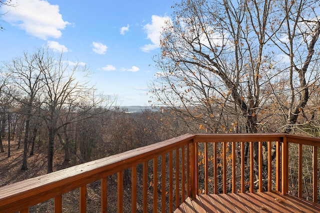 136 Grand Pointe, Branson, MO 65616 - photo 70