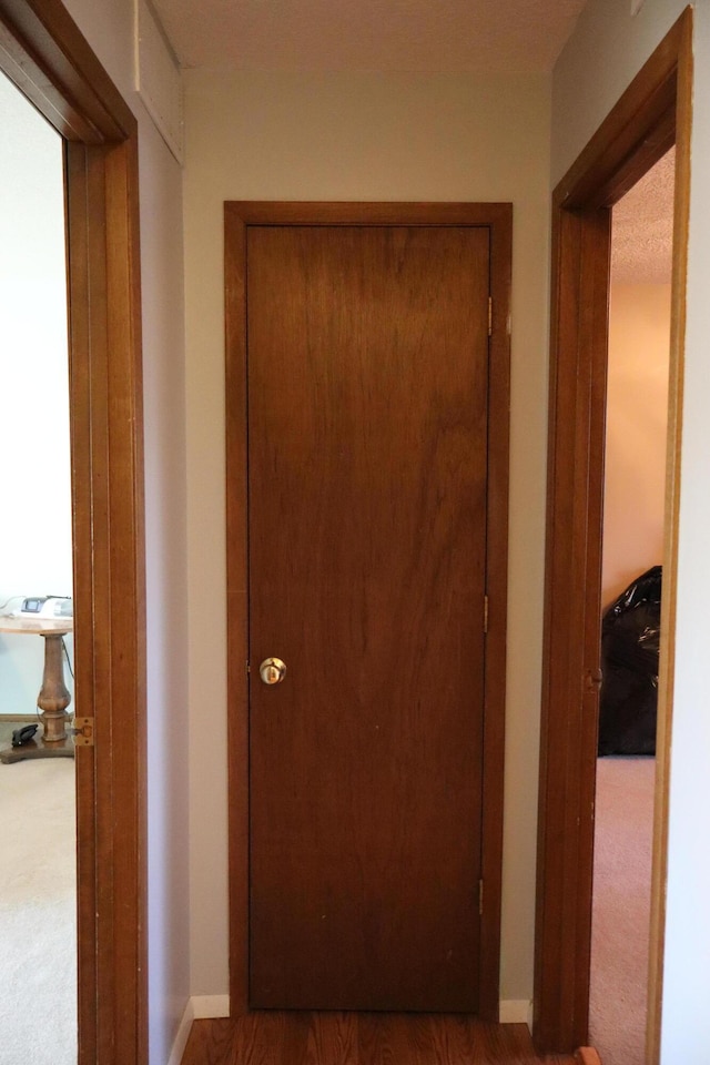 hallway featuring carpet flooring