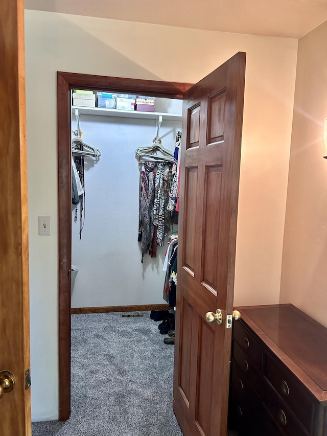 spacious closet featuring carpet