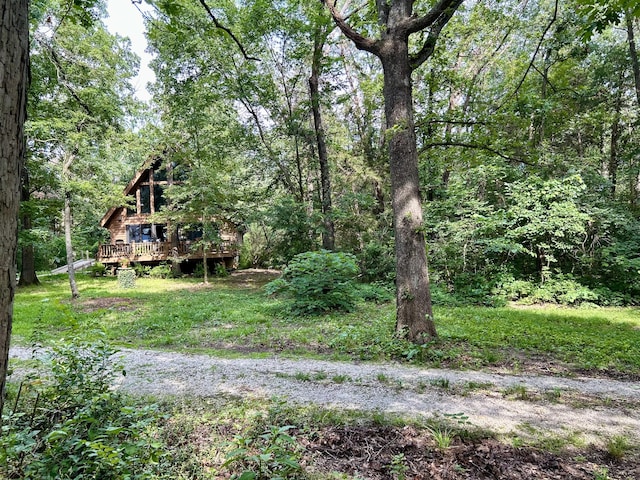 view of yard featuring a deck