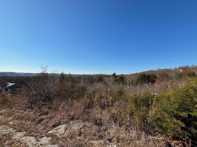 Listing photo 3 for 645 Timberland Trl, Branson MO 65616